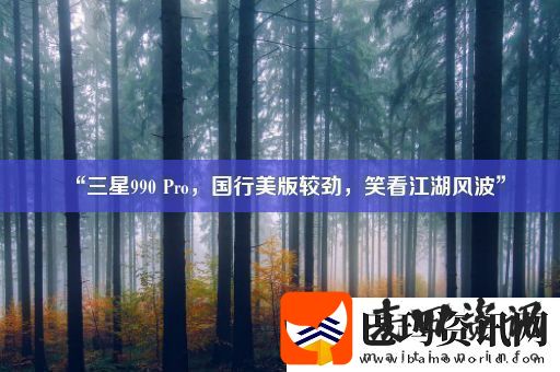 “三星990Pro国行美版较劲笑看江湖风波”