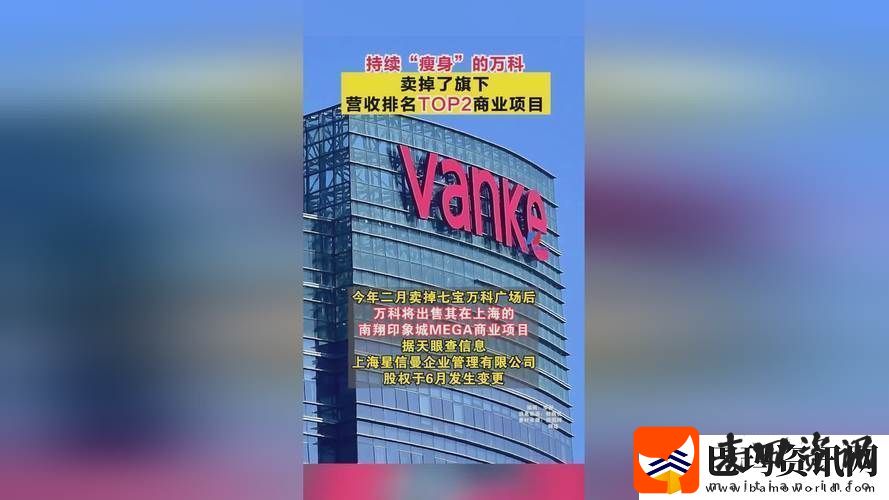 探索17c.c平台的无限可能性