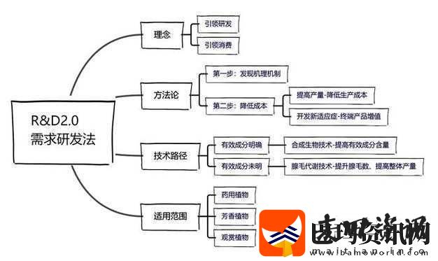 四叶草私人研究所的研究成果