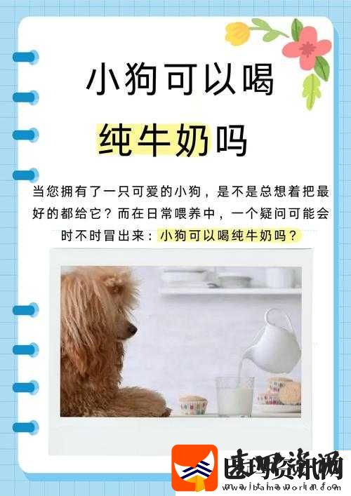 一晚上几次能喂饱你怎么回复