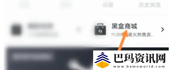 小黑盒购买记录怎么查看