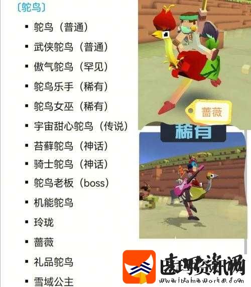 深入探索疯狂动物园