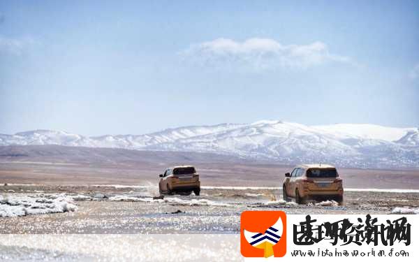 无人区码卡二卡3卡4卡有限公司