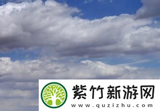 4438x20全网大免费是款播放软件