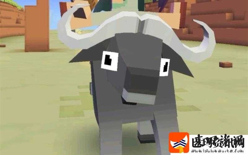 揭秘疯狂动物园