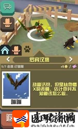 探秘疯狂动物园