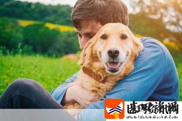 狗狗配人怎么配