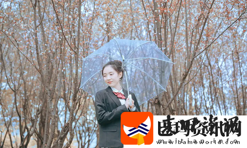 抖音APP入口免费