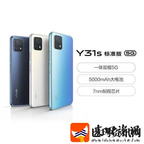 成色好的y31s标准版人民