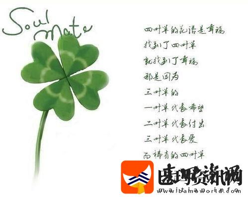 四叶草“欧罗巴”与“中华田园”