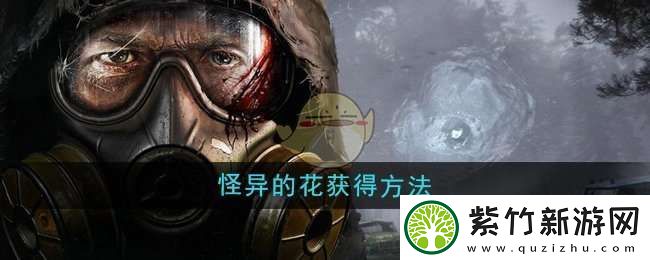 潜行者2怪异的花怎么获得