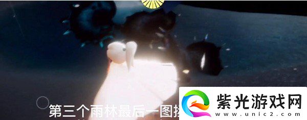 光遇12月31日每日任务怎么做