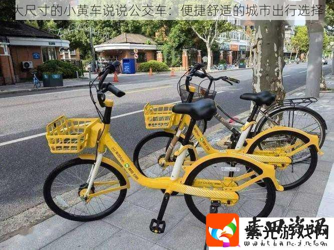 大尺寸的小黄车说说公交车