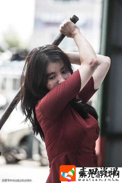法国满天星八尺夫人菲律宾