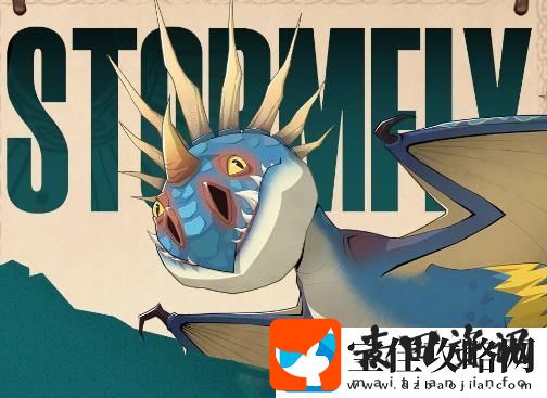 驯龙高手