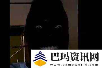 体内精