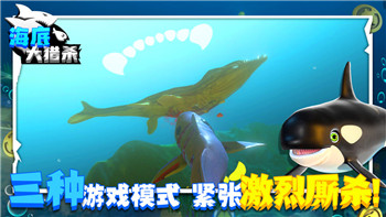 丧尸派对后续关卡怎么玩的啊