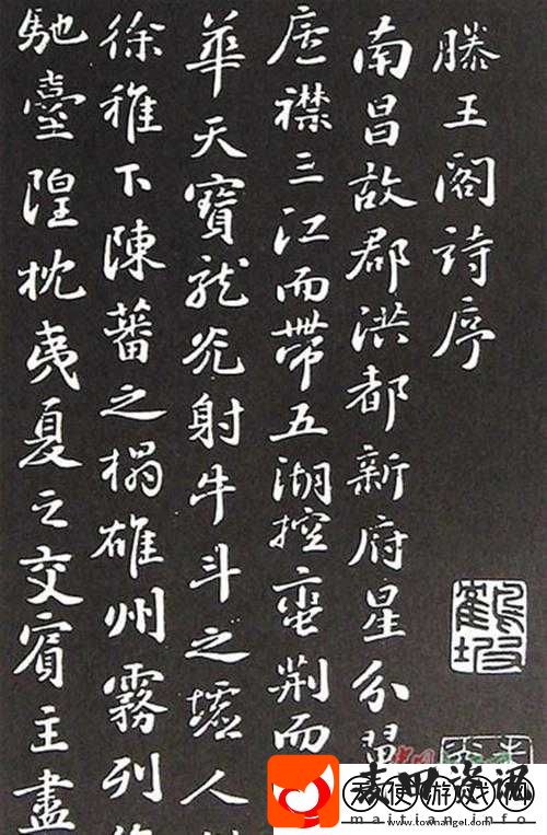 人与畜禽