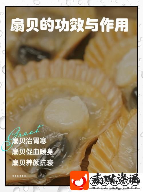 你的扇贝开了