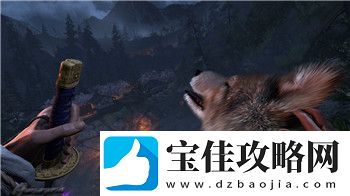猩红梦魇信物的样式与其背后隐藏的神秘力量解析