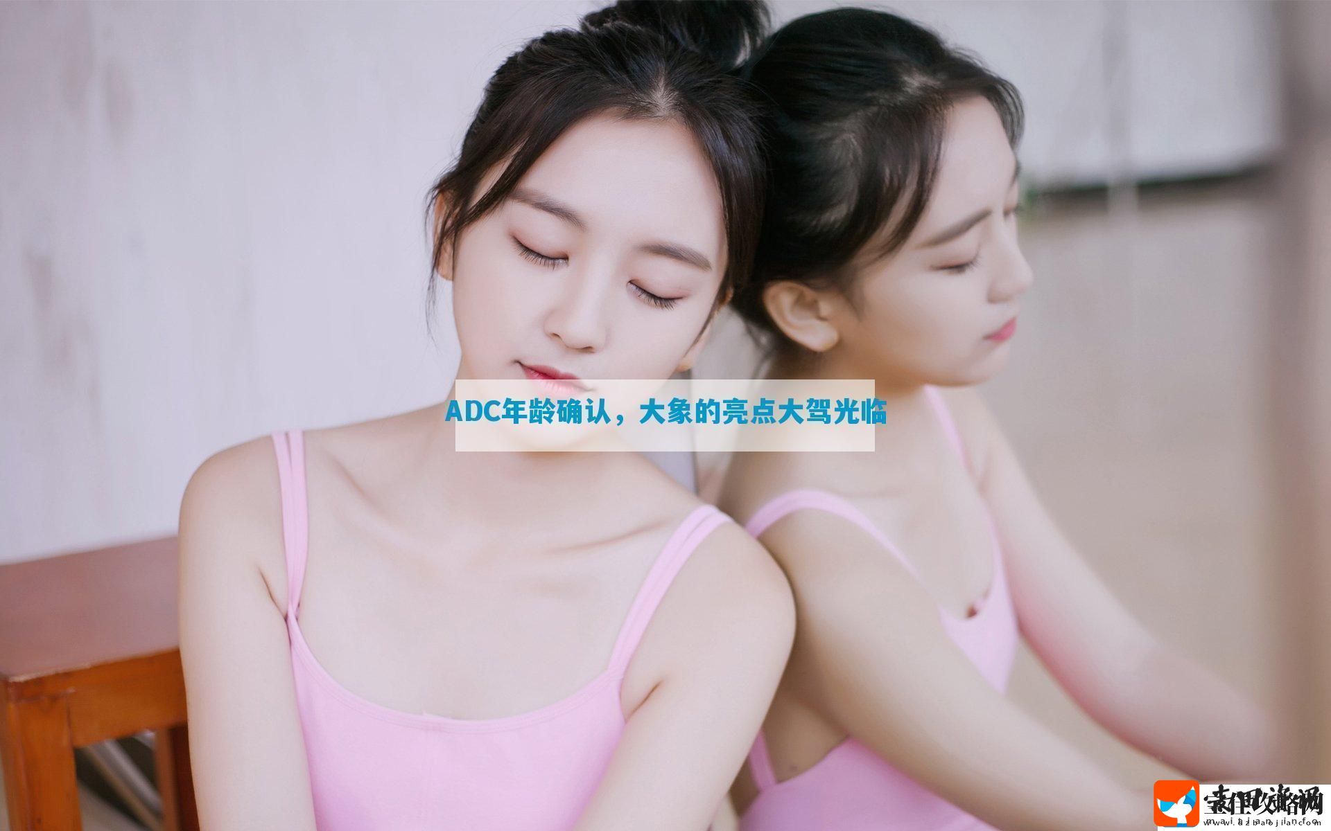 ADC年龄确认大象的亮点大驾光临