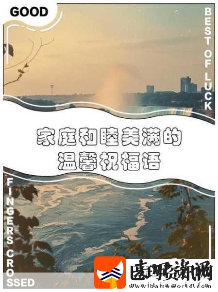 家庭共赏新风尚