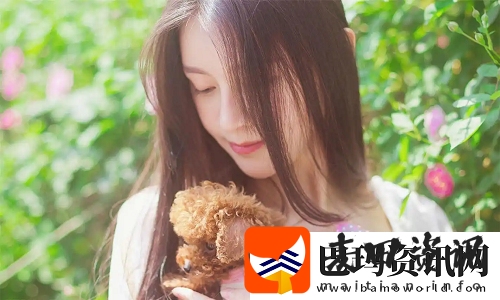 永久不收费免费的社交软件新选择