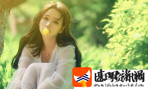美国人与动物胶配方有几种