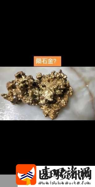 无人区码一码二码三码是什么ww