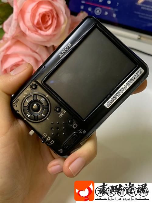 成色P31S是否为国精产品
