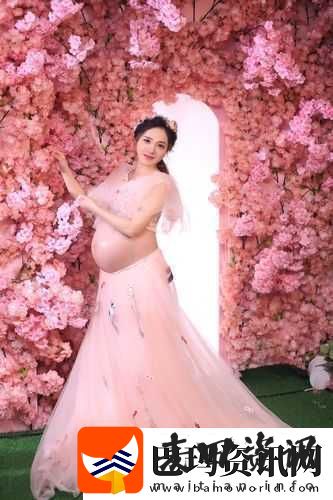 新版孕妇