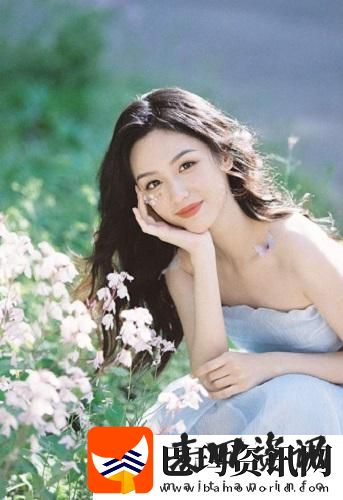 韩国理论大全独特视角探讨现代化进程，学者：深度剖析背后的文化逻辑！