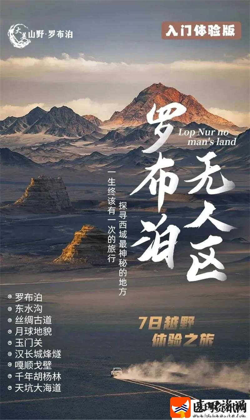 国无人区码卡二卡探索之旅