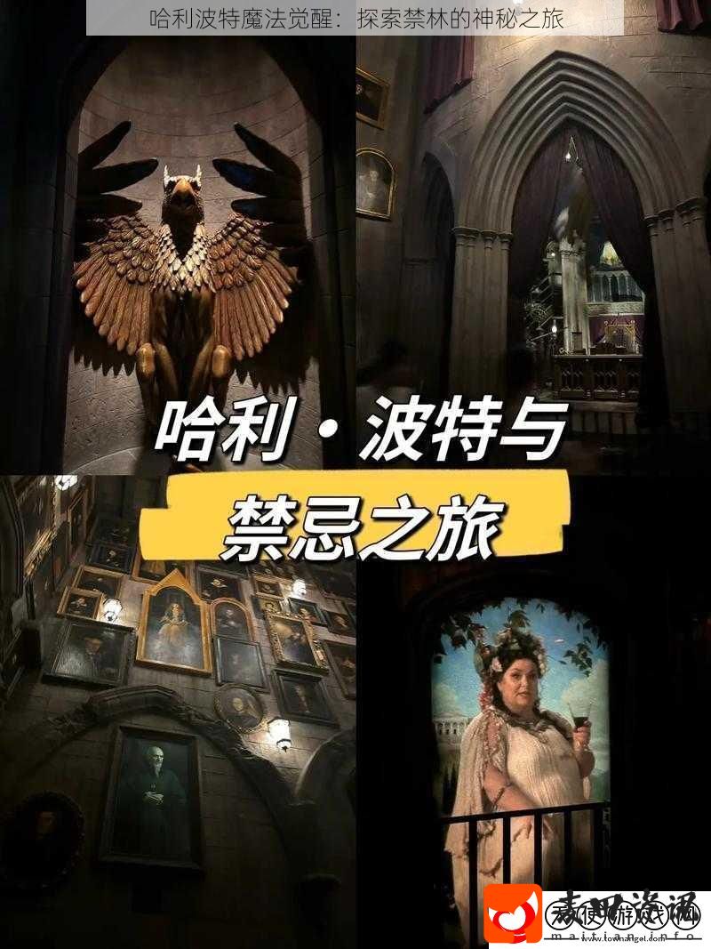 哈利波特魔法觉醒