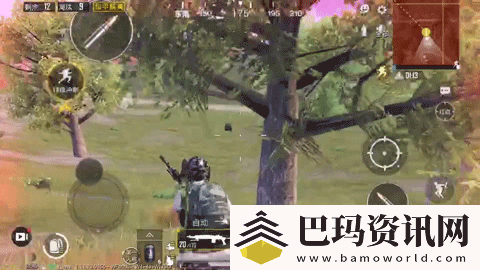 和平精英圣域宝箱在哪里