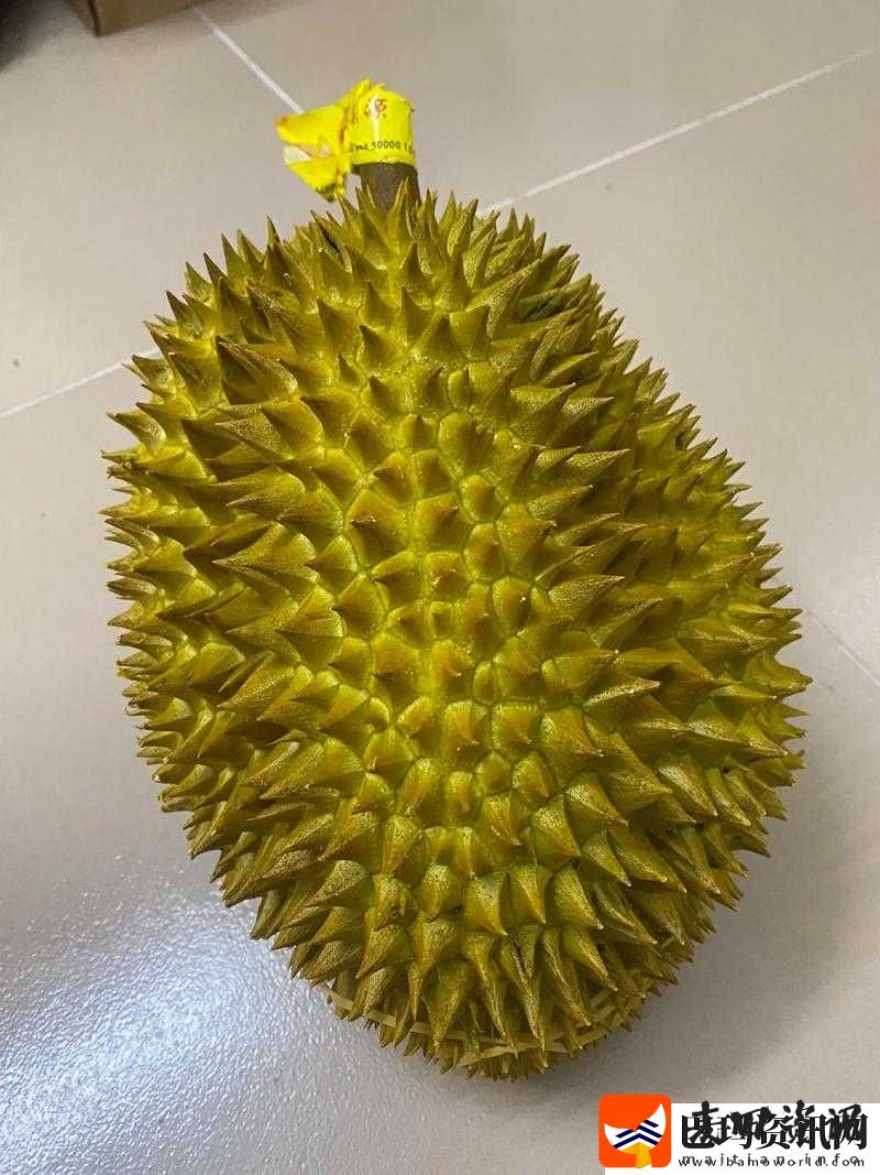 榴莲