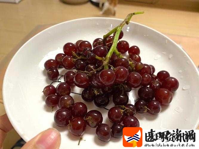 对着镜子把葡萄一粒粒
