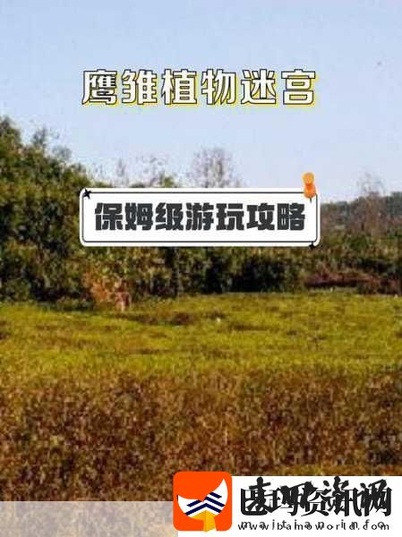 迷宫探险新纪元