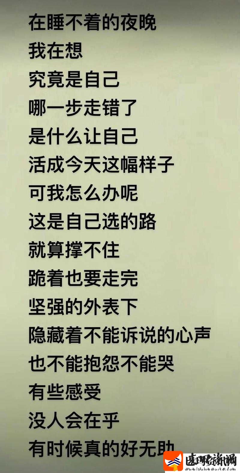 在盐和避难所中究竟选何种出生礼物才最为合适呢