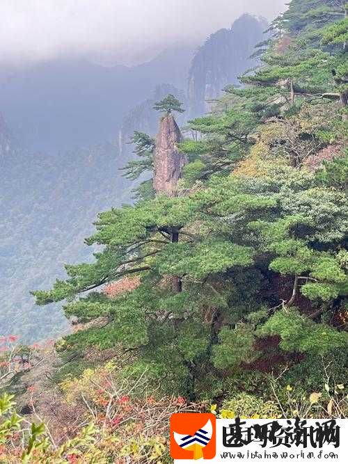 龙族幻想刀片战士位置详解