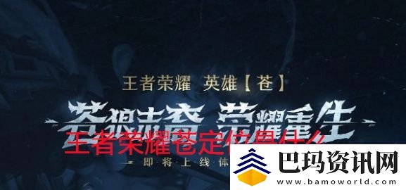 王者荣耀苍定位是什么