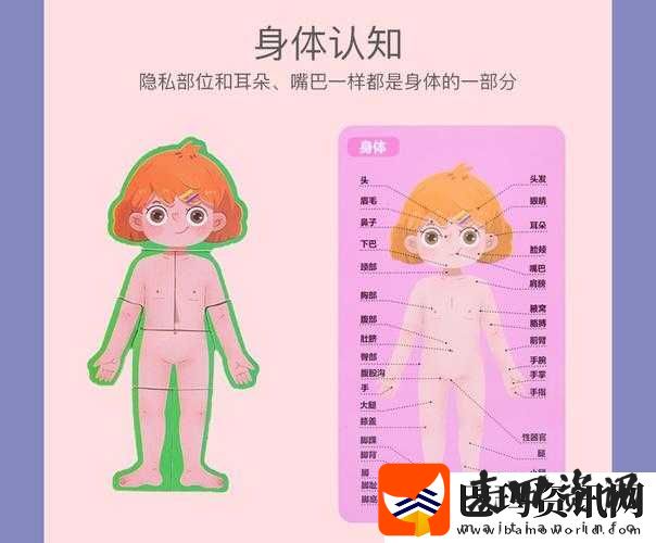 给一个姑娘开了包是看什么