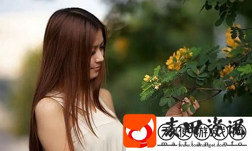 免费b站在线观看人数