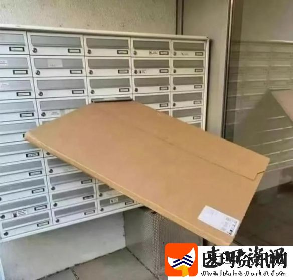 相对单身还是绝对单身