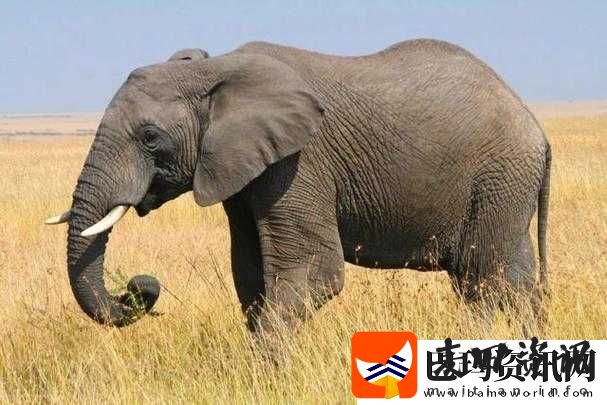点击由此进入