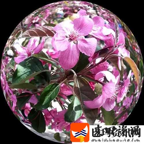 春情荡漾